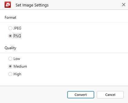 Set your preferred image settings before converting.