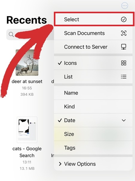 From the Files app, choose "Select" and long-press a file to create a PDF.