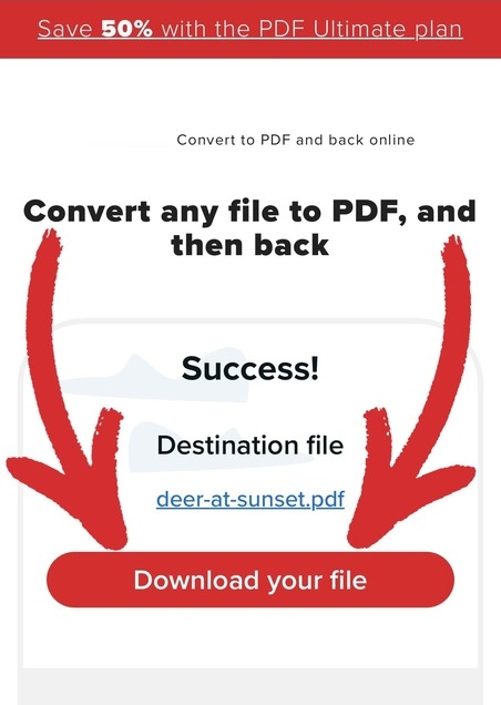 Click "Download your file" to save your image as a PDF on your iPhone.